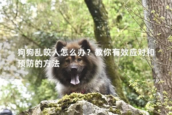 狗狗乱咬人怎么办？教你有效应对和预防的方法