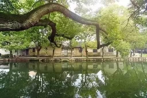 苏州12大古镇游玩攻略：从芦墟到震泽，领略最地道的江南水乡