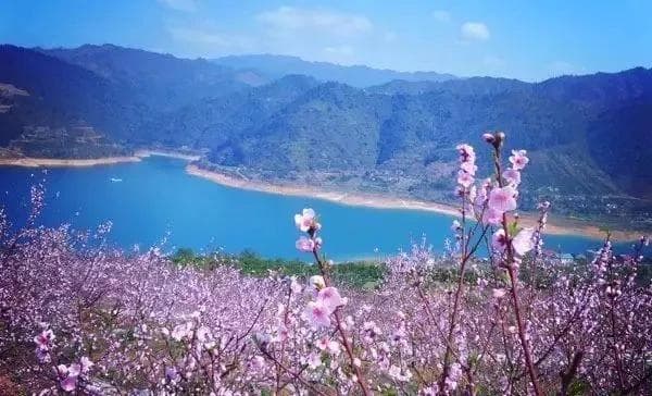 郴州旅游春天周末去哪玩？东江湖白廊“小洱海”又美又出片！