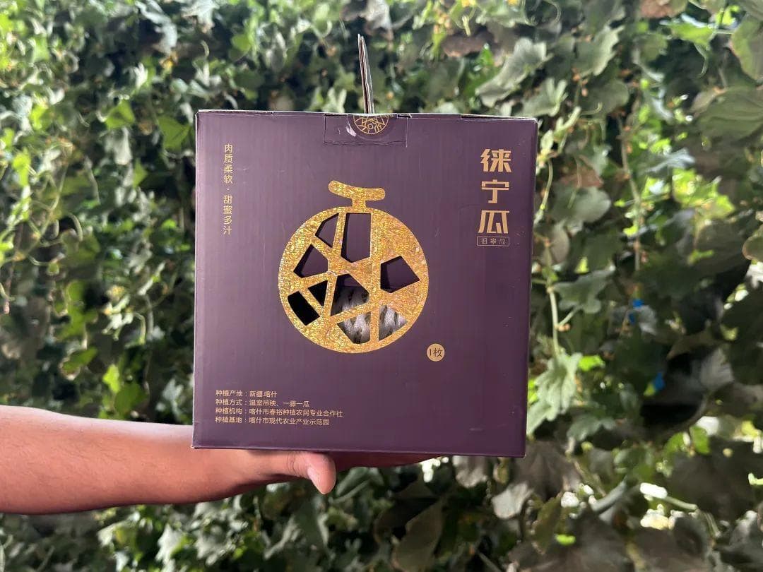 喀什徕宁瓜走红市场，399元/个带动农民增收