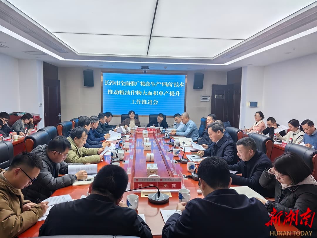 促进粮食生产单产提升 长沙计划推广"四高"技术逾200万亩