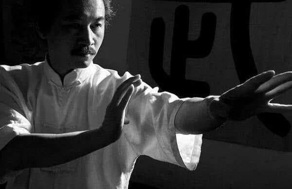 如何用力学原理分析咏春拳？