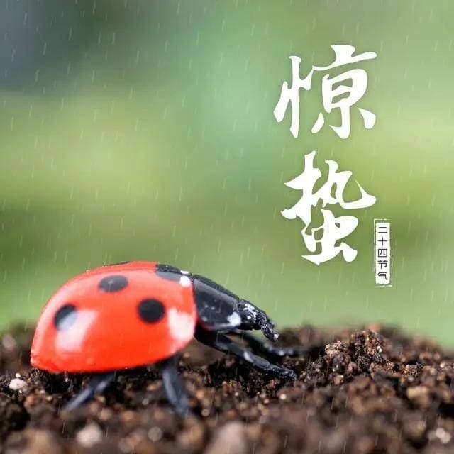 二十四节气之惊蛰与养生之道