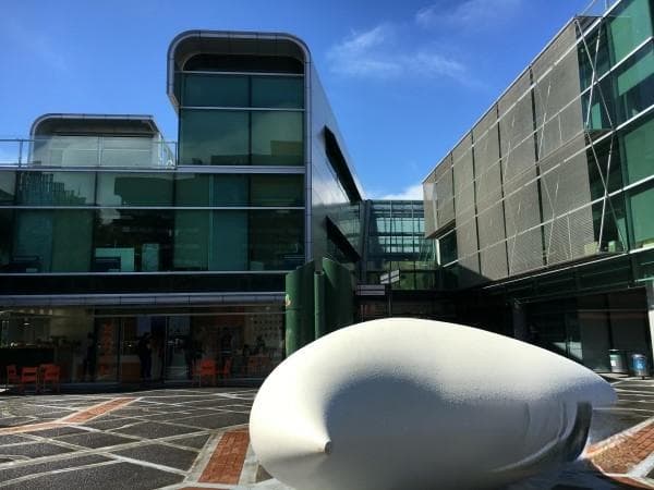 新西兰奥塔哥大学留学全攻略：费用、排名、申请条件详解