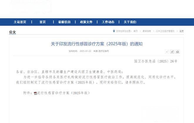新版流感诊疗方案（2025版）发布！药店人不可不知的用药调整！