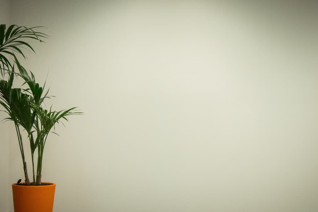 特殊人群档案管理系统：提升社会关爱与服务效能的信息化利器