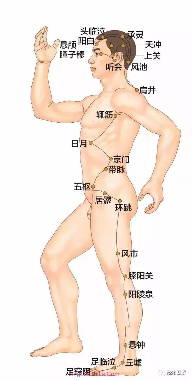 足少阳胆经循行路线图及44个穴位位置图详解