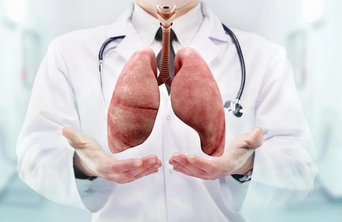 补肺第一方：揭秘补肺汤神奇疗效，提升一身免疫力