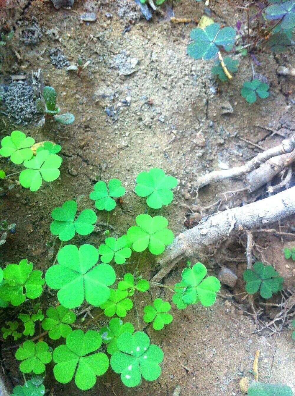 怎样写诗最有意境？