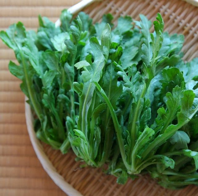 茼蒿热含量低、助消水肿！解析茼蒿功效禁忌，茼蒿和山茼蒿差在哪？
