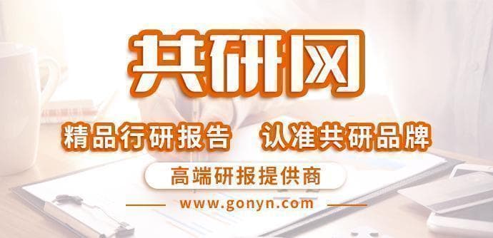 2025-2031年中国变频器市场全景调研与发展前景预测报告