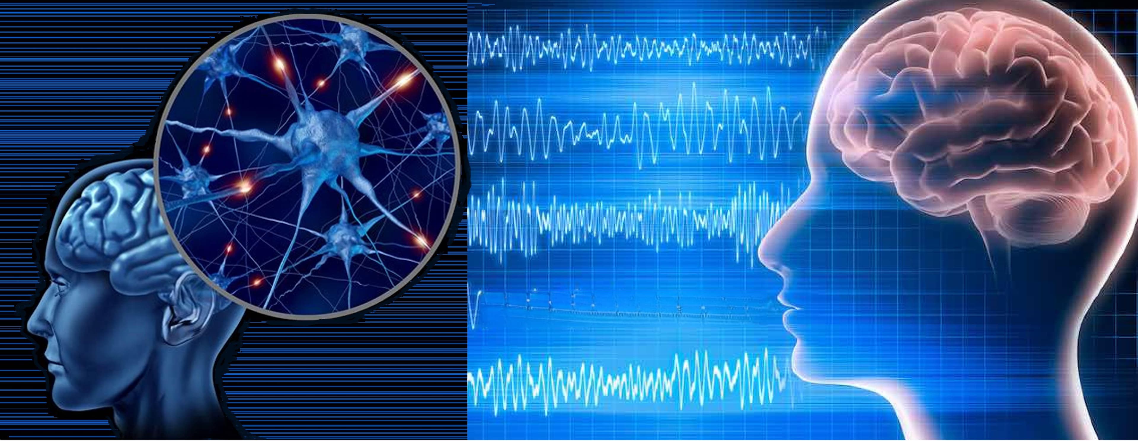 我们为什么做梦？科学揭秘梦境背后的原理