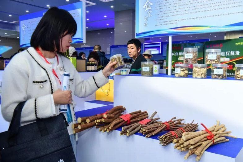通辽打造蒙医药全产业链，蒙成药产量占全国半壁江山