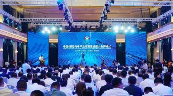 有底气才敢亮“家底” 通辽肉牛“牛势”崛起