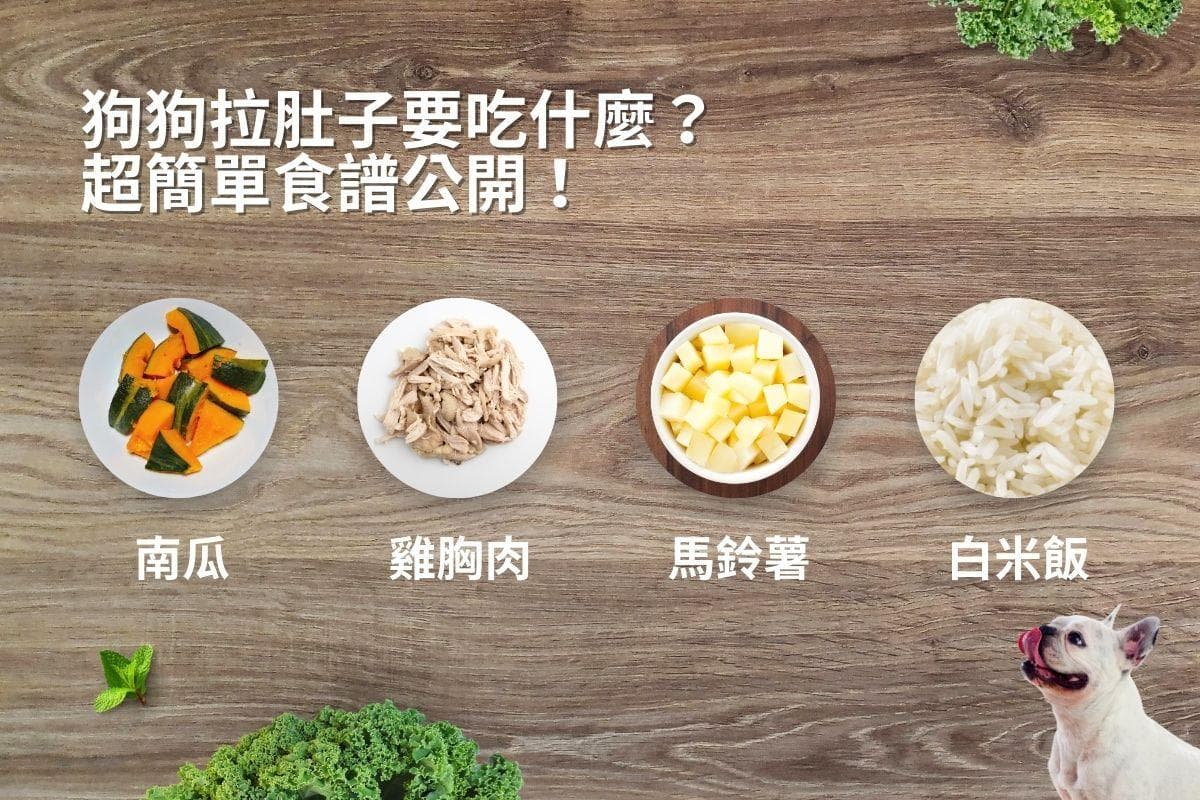 狗狗拉肚子怎么办？禁食、饮食与预防全攻略