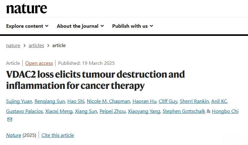 Nature：靶向线粒体VDAC2——破解实体瘤免疫治疗抵抗的"死亡密钥"