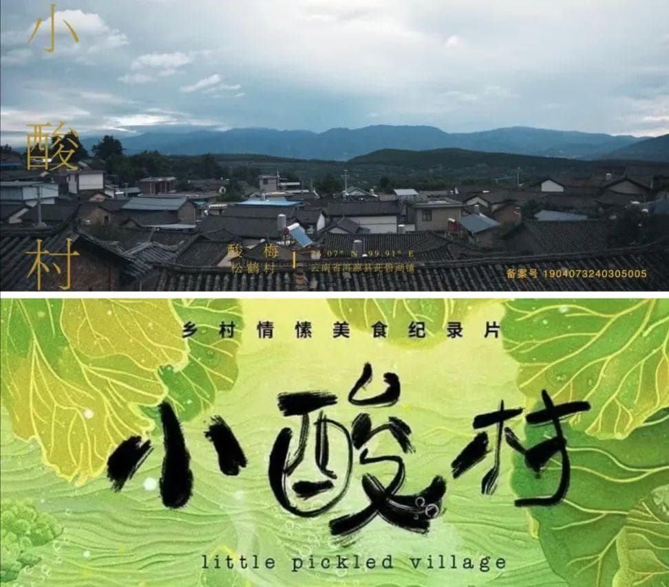 纪录片《小酸村》：酸味美食背后的百态人生