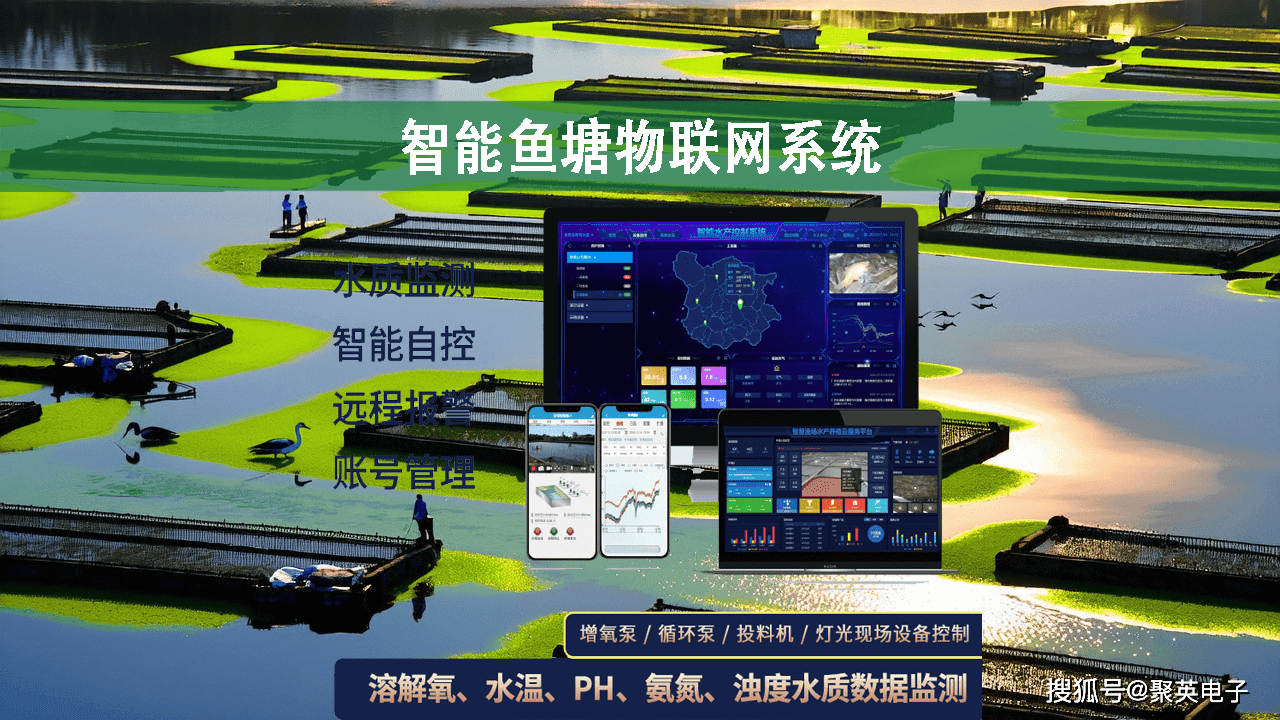 智能鱼塘物联网系统，推动渔业养殖可持续发展
