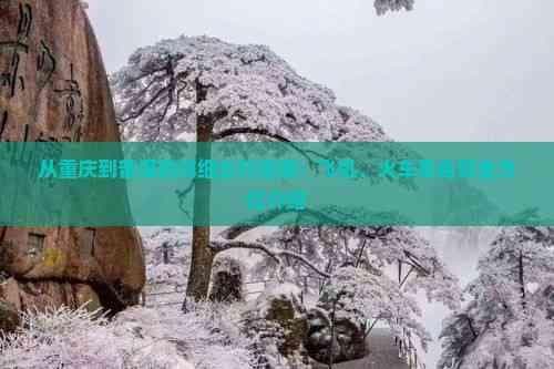 从重庆到普洱的详细出行指南：飞机、火车及自驾全方位介绍