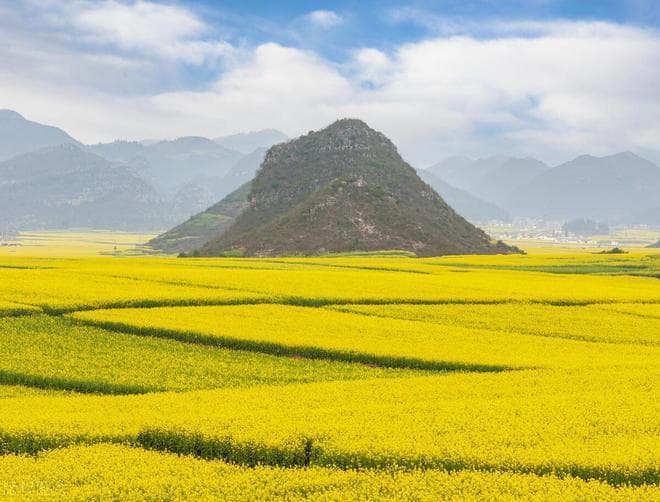 2025年3-4月中国旅游指南：赏花胜地与民俗节日全攻略
