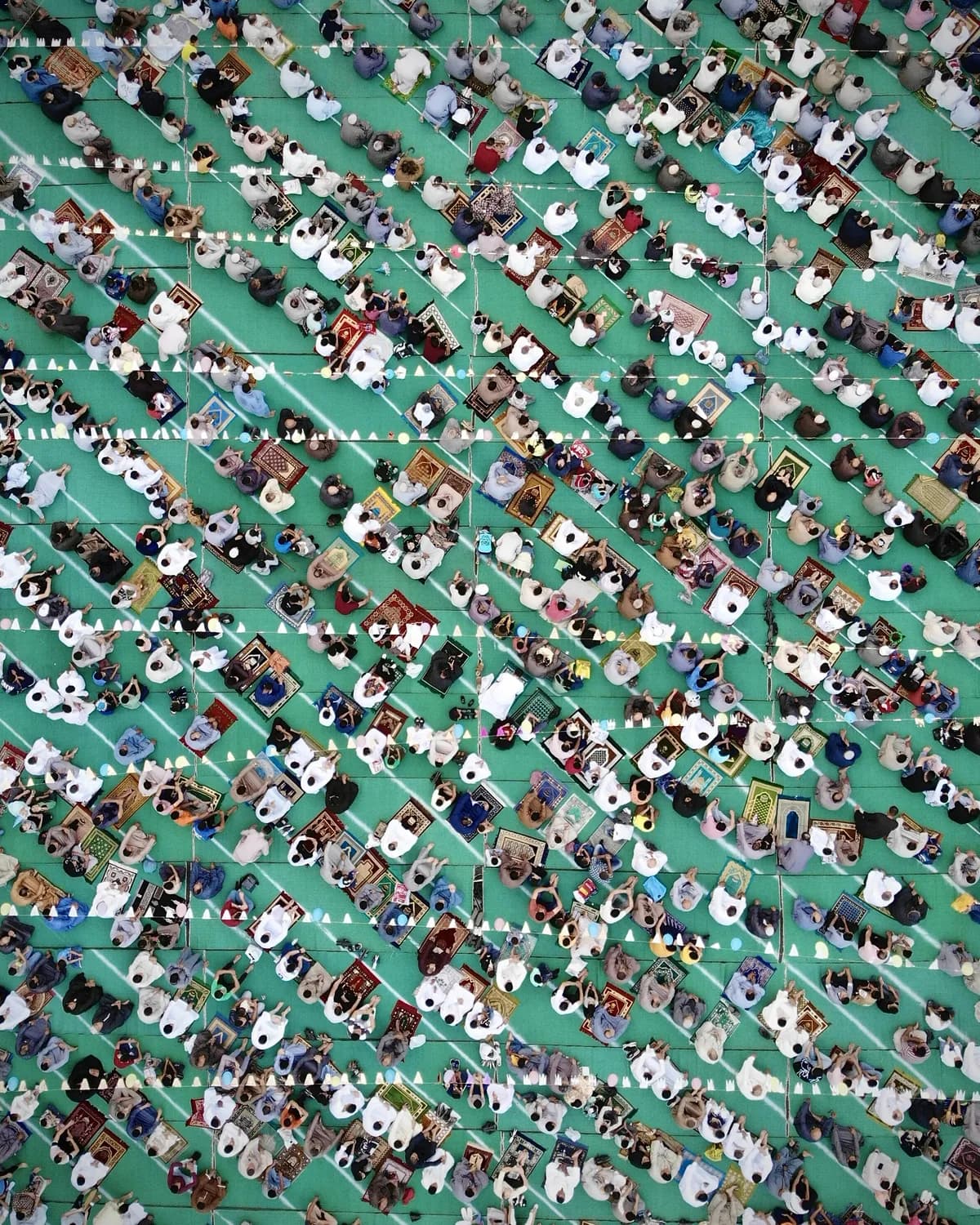 从布达拉宫到那达慕：走进中国56个民族的文化世界