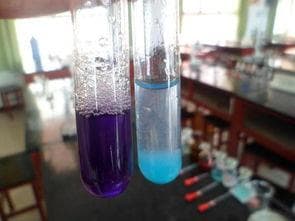 检验葡萄糖用什么试剂(如何用斐林试剂来检验葡萄糖需要化学方程式以及其原理)