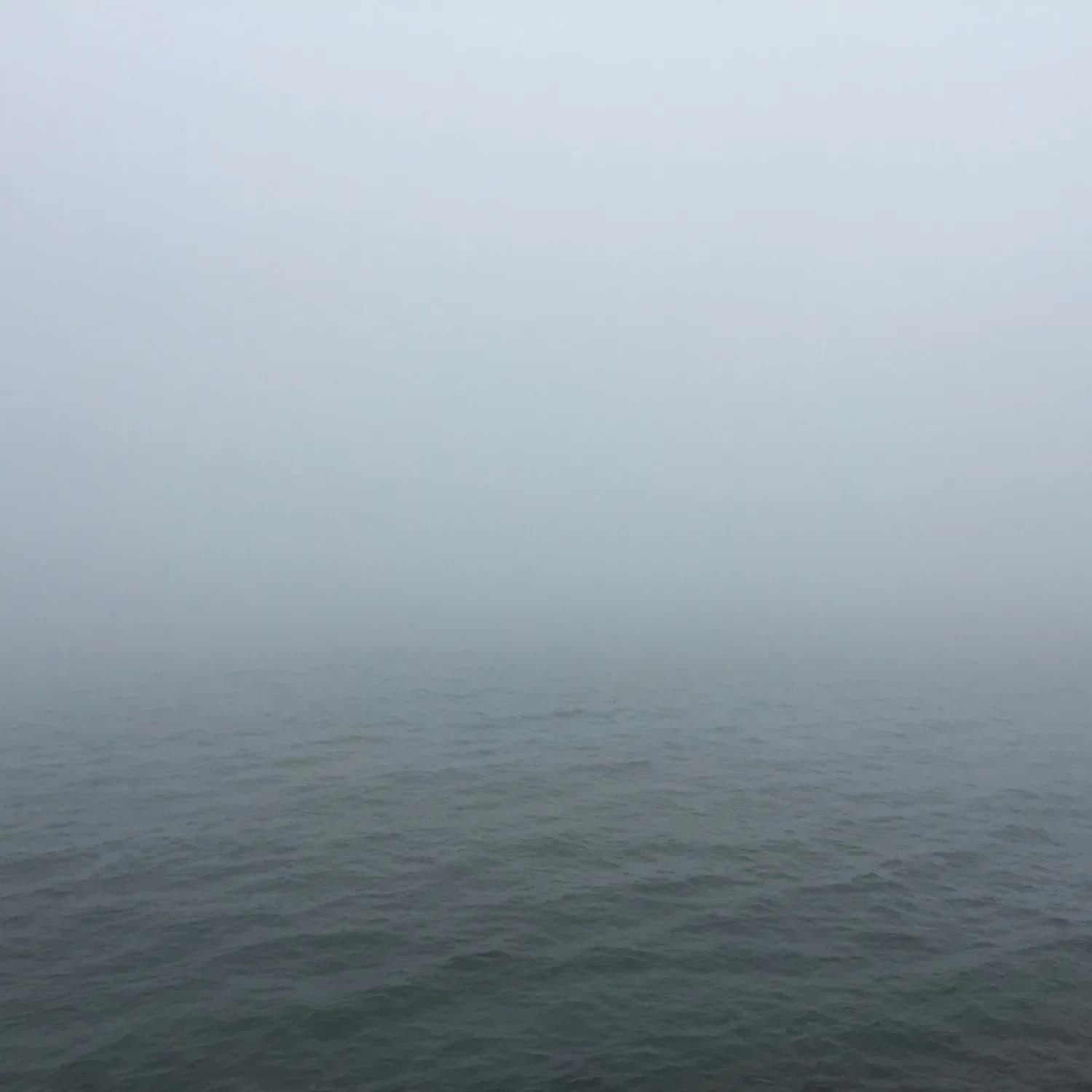 琼州海峡再遇浓雾，客滚船全线停航