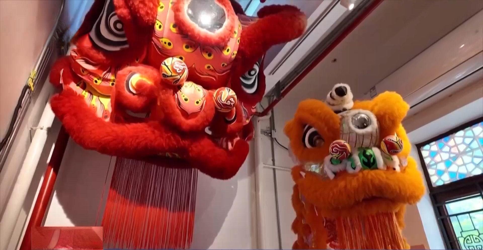 文化中国行丨“有华人的地方必有醒狮” 看广东醒狮贺新春