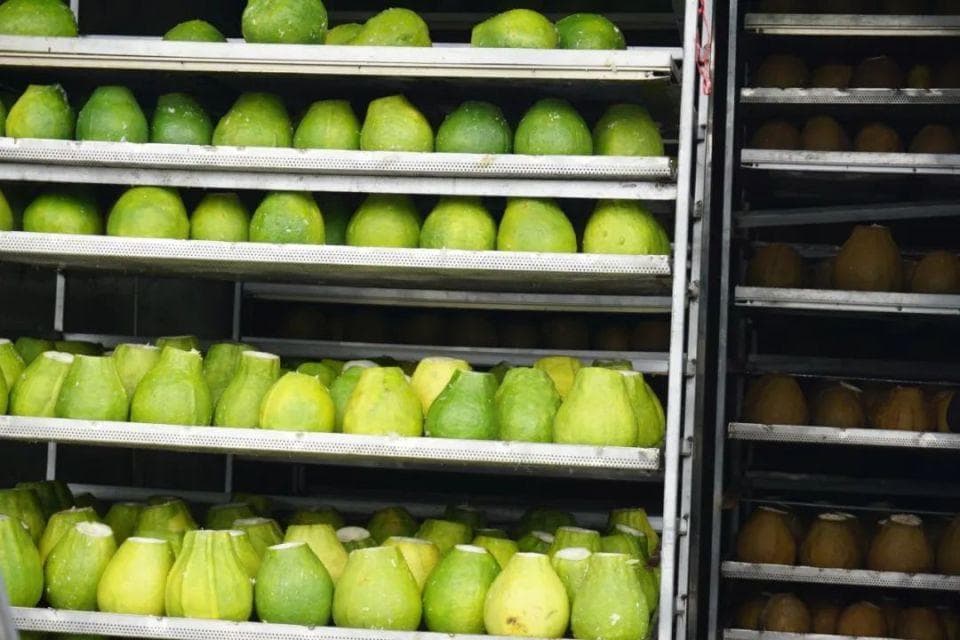 桂林这种工艺品源自明代！一度“失宠”，如今备受青睐，远销国外