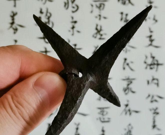 这果实很怪异，像个流星锤，俗称“蒺藜”，小时候还被它扎过脚！