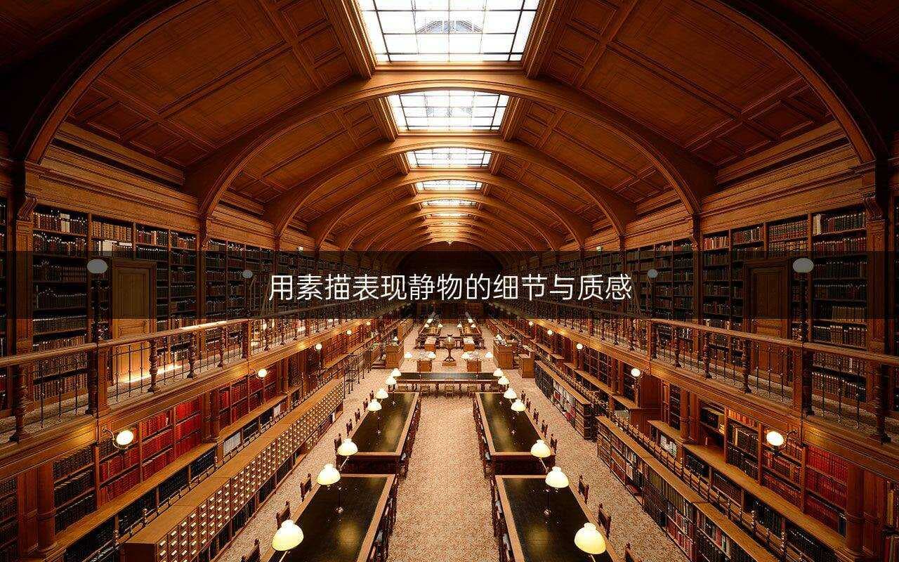 用素描表现静物的细节与质感