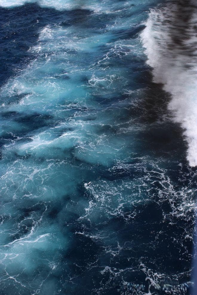 穿越深海奇境：海洋分层的奇幻生物世界
