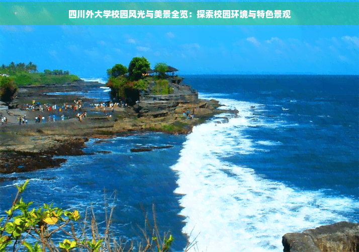 四川外大学校园风光与美景全览：探索校园环境与特色景观