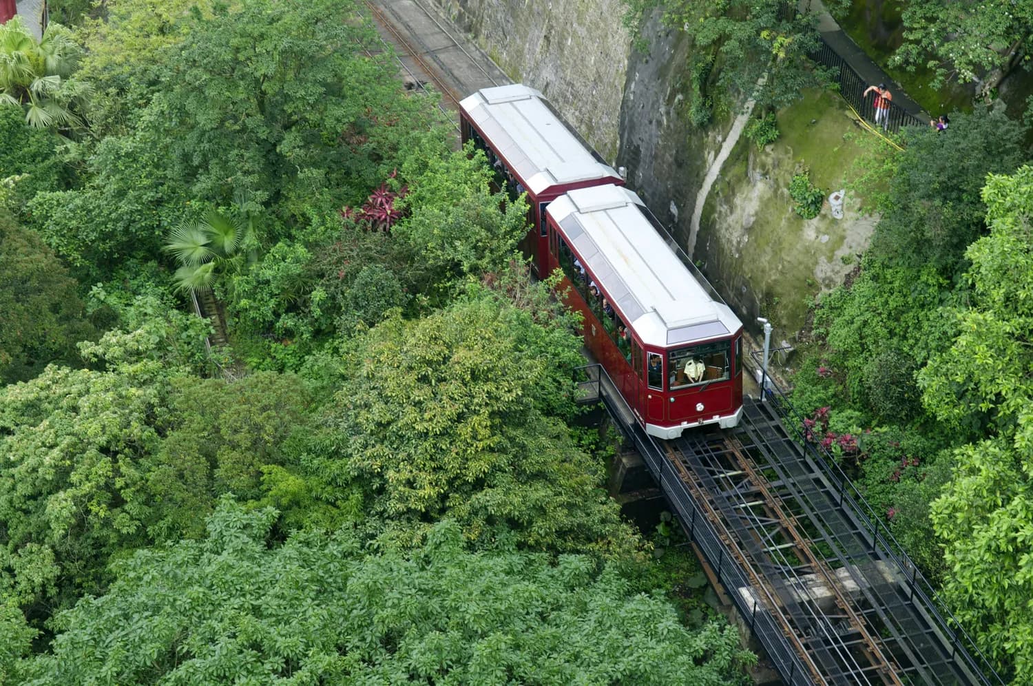 窦圌山索道停运期间完美游攻略：观光车、景点、住宿全解析