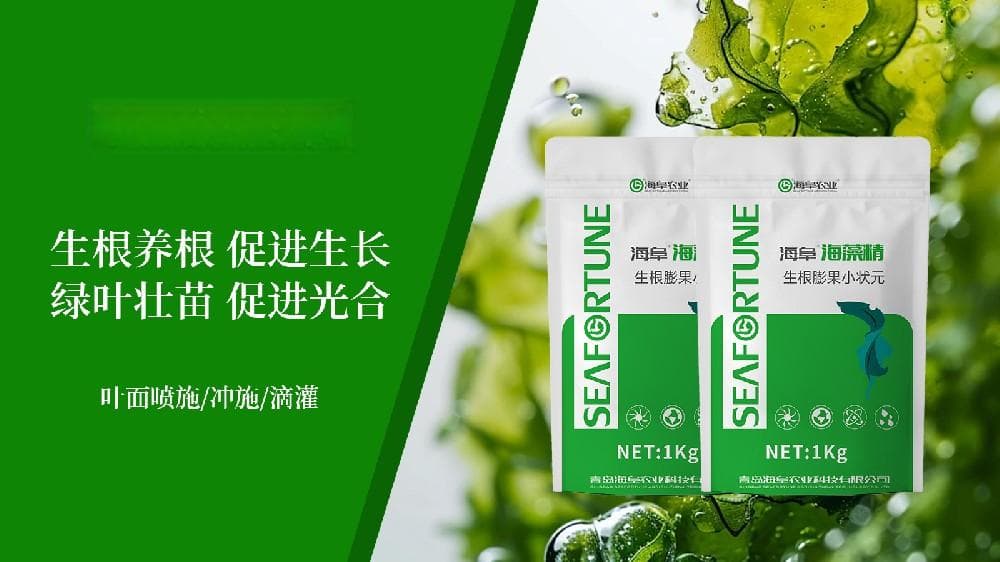 油菜追肥的最佳时间 科学施肥助力高产