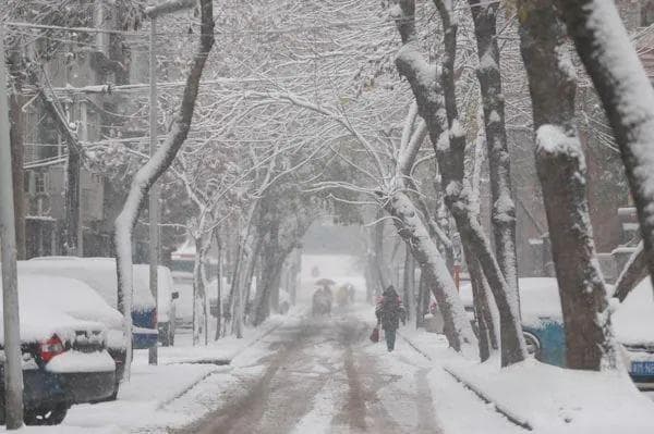 最新！中雪！天津终于要下雪了！就在......