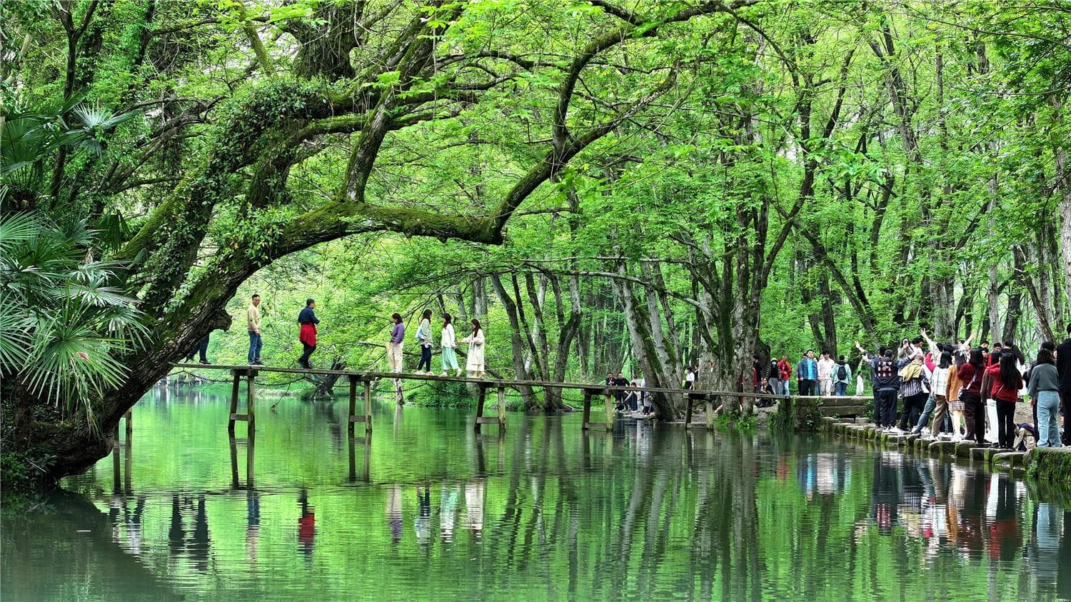 探寻安徽乡村旅游的“出圈”密码 ——来自黄山市西溪南村的蹲点调查