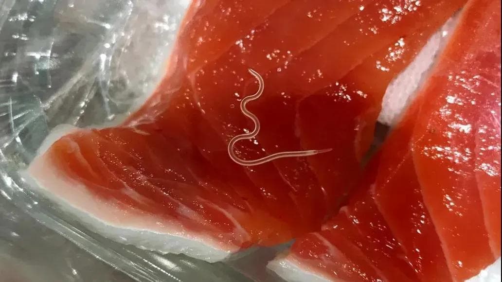 这种美食经常被全网安利，但劝你别吃