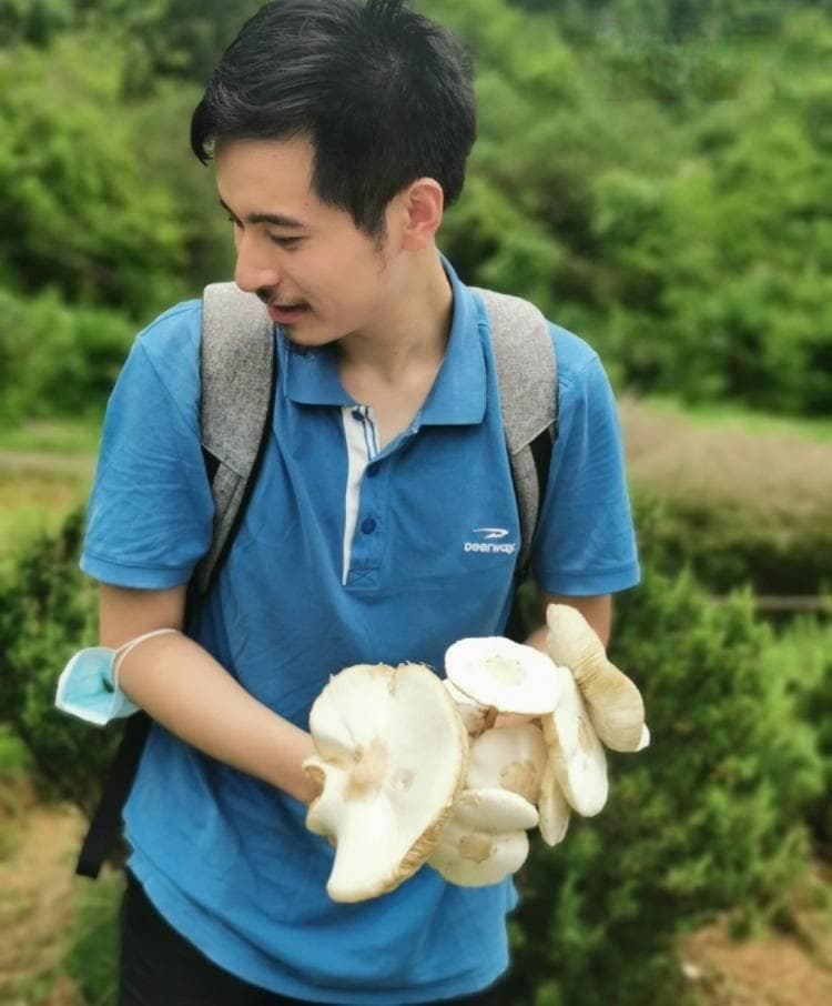 南京有多少种蘑菇？一群年轻人出了本书，还发现了新物种“紫金山红菇”