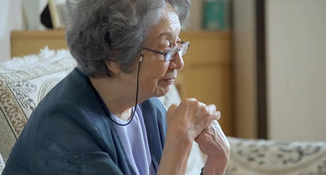 叶嘉莹百岁人生：将生命的驳杂、丰盈化为诗词的养料