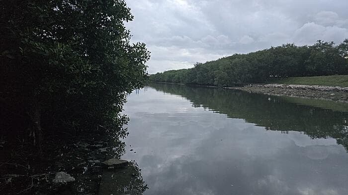 深圳前海湾"赶海"抓青蟹引争议：个别拾取不违法，大规模捕捞不允许