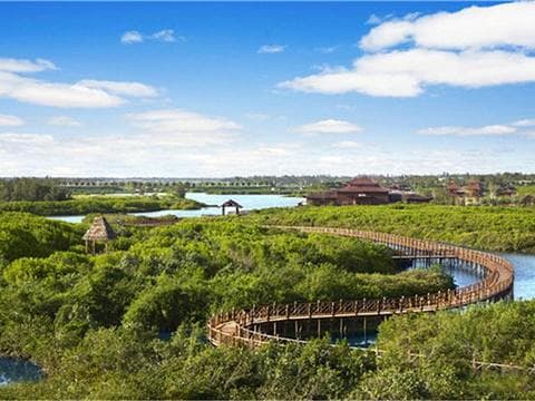 走进长广溪湿地公园：自然美景与生态保护的完美结合