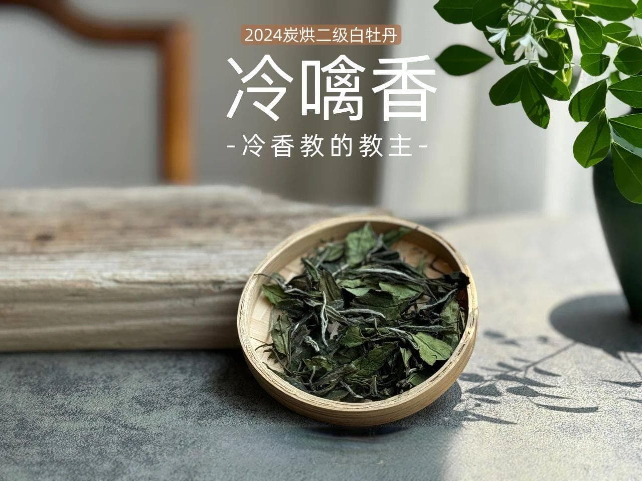 玻璃罐、陶瓷罐、铁罐，哪个存白茶更靠谱？优缺点一次性说清楚
