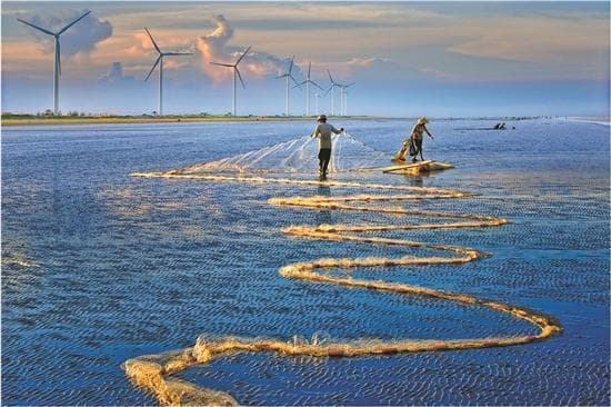 湛江：打造国际北热带滨海旅游目的地