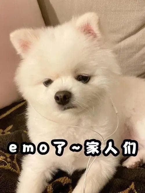 你了解“糖耐”检查吗？