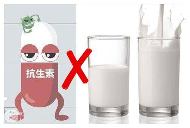 牛奶与抗生素同时服用，是“强强联合”还是“相互伤害”？