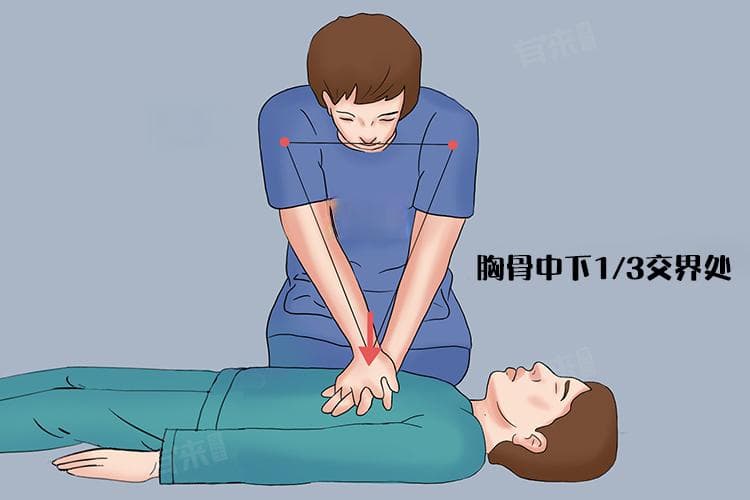 成人胸外心脏按压的正确位置
