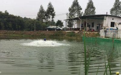 鱼塘养殖循环泵手机远程控制