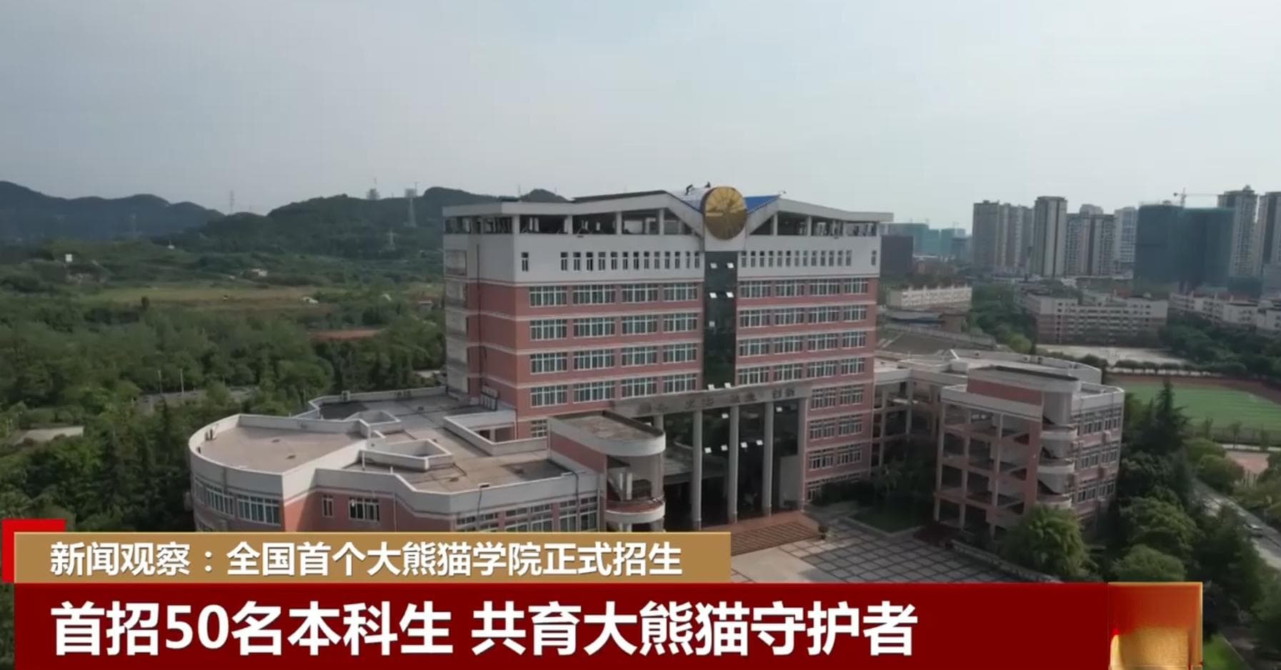 全国首个大熊猫学院正式招生 130秒一起详细了解↓↓↓
