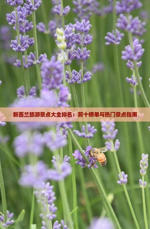 新西兰旅游景点大全排名：前十榜单与热门景点指南